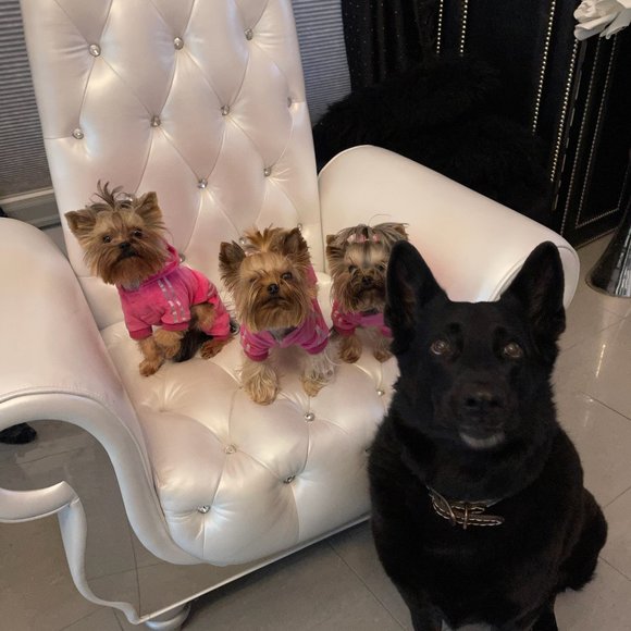 Meet your Posher, Carmen - Picture 1 of 3